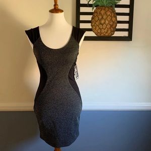 Express Bodycon Dress